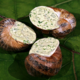 les escargots du Perche, escargots au beurre persillé