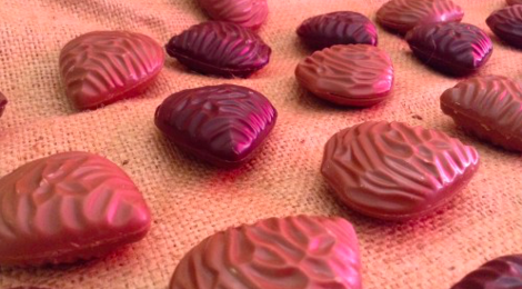 chocolats Glatigny, Huîtres feuilletées pralinées chocolat 