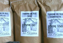 moulin fritz, farine de blé type 65