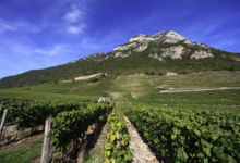 Jean Perrier et Fils