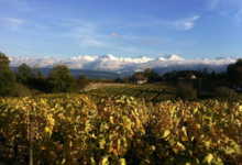 Jean Perrier et Fils
