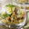 Salade de Crozets betterave, épinard et oeuf de caille