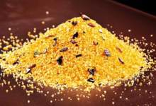 Polenta forestière