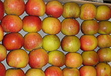 Pommes de Savoie