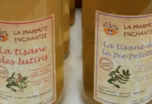 La Marmite Enchantée, Tisane de la Pie-Pelette