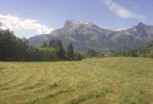 La Ferme Des Roches Fleuries