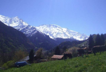 La Ferme Des Roches Fleuries