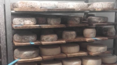 Ferme des roches fleuries, tommes
