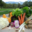 les jardins du Taillefer, panier de légumes bio