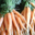 les jardins du Taillefer, carotte botte bio