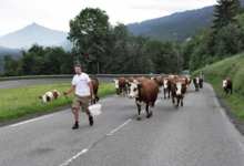 Ferme de Ballancy, Ferme NAVILLOD 