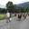 Ferme de Ballancy, Ferme NAVILLOD 