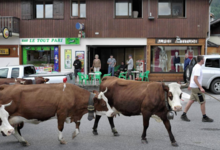Ferme de Ballancy, Ferme NAVILLOD 