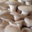 pleurote