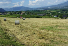 Les vergers du fort