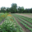 Les Jardins du Nant Bruyant