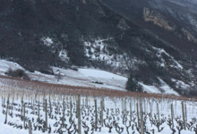 domaine Trosset Fabien