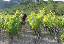 domaine Trosset Fabien