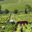 domaine Trosset Fabien