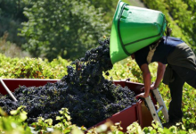 domaine Trosset Fabien
