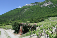 domaine Trosset Fabien