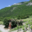 domaine Trosset Fabien