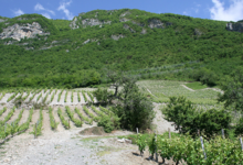 domaine Trosset Fabien