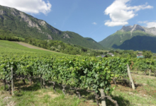 Cellier de la Baraterie
