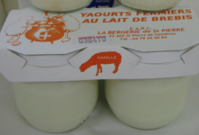 bergerie de Saint-pierre, yaourt au lait de brebis à la vanille