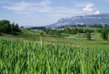 La Ferme Des Traditions