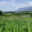 La Ferme Des Traditions