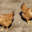La Ferme Des Traditions
