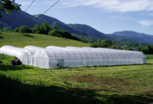 La Ferme Des Traditions
