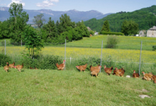 La Ferme Des Traditions