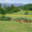 La Ferme Des Traditions