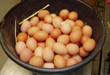 La Ferme Des Traditions
