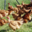 La Ferme Des Traditions
