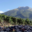 Domaine Grisard