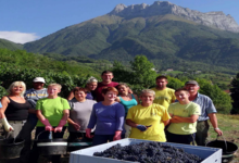 Domaine Grisard