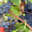 Domaine Grisard