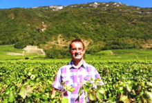  Domaine Pascal Paget