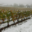  Domaine Pascal Paget