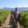  Domaine Pascal Paget
