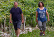 domaine Chevallier Bernard