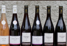 domaine Chevallier Bernard, Jongieux Rouge - Pinot elevé en fût de chêne