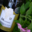 domaine Justin, Roussette de Savoie cru Monthoux