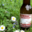 Brasserie La Baujue, le brassin du moment