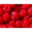domaine du Sotré, Sirop Artisanal - Framboise
