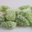 confiserie des Hautes Vosges, Eucalyptus