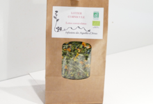 Infusions des Aiguilles d’Arves, Lotier Corniculé